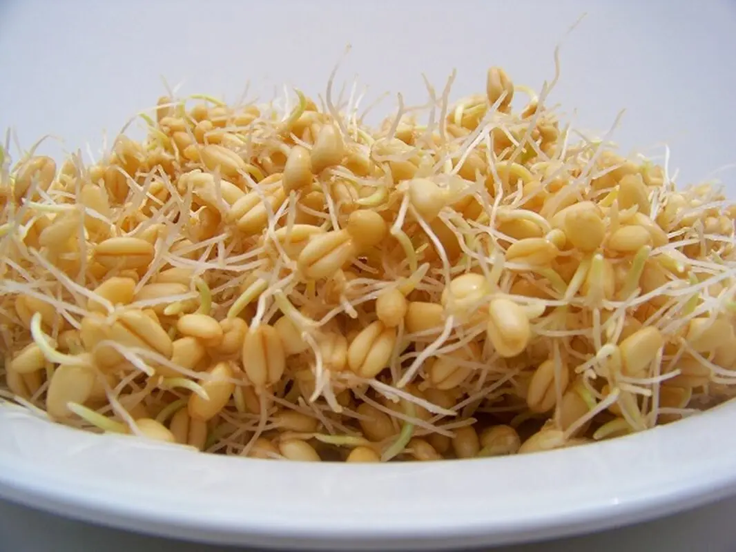 نحوه مصرف جوانه گندم، گارانتی پوست مادران