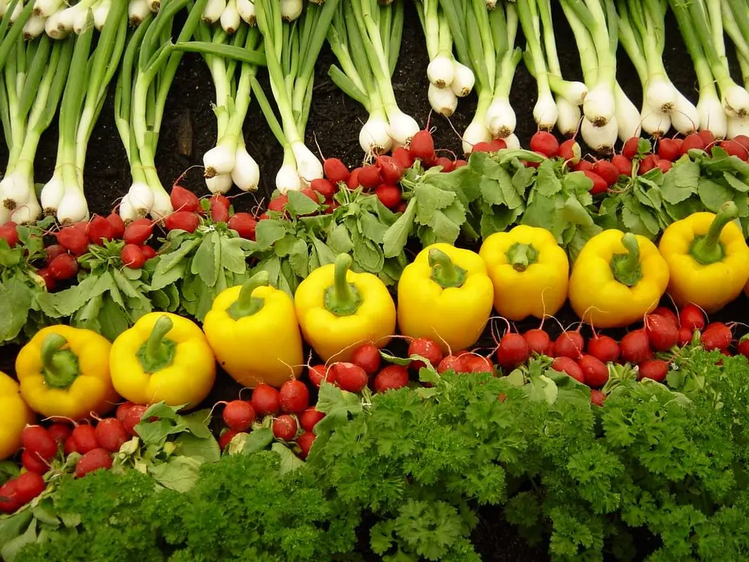 تزیین سبزی خوردن برای کودکان، تاثیرات آن