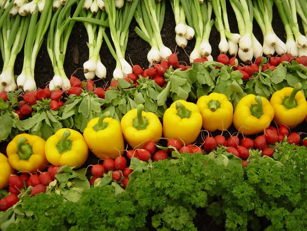 تزیین سبزی خوردن برای کودکان، تاثیرات آن