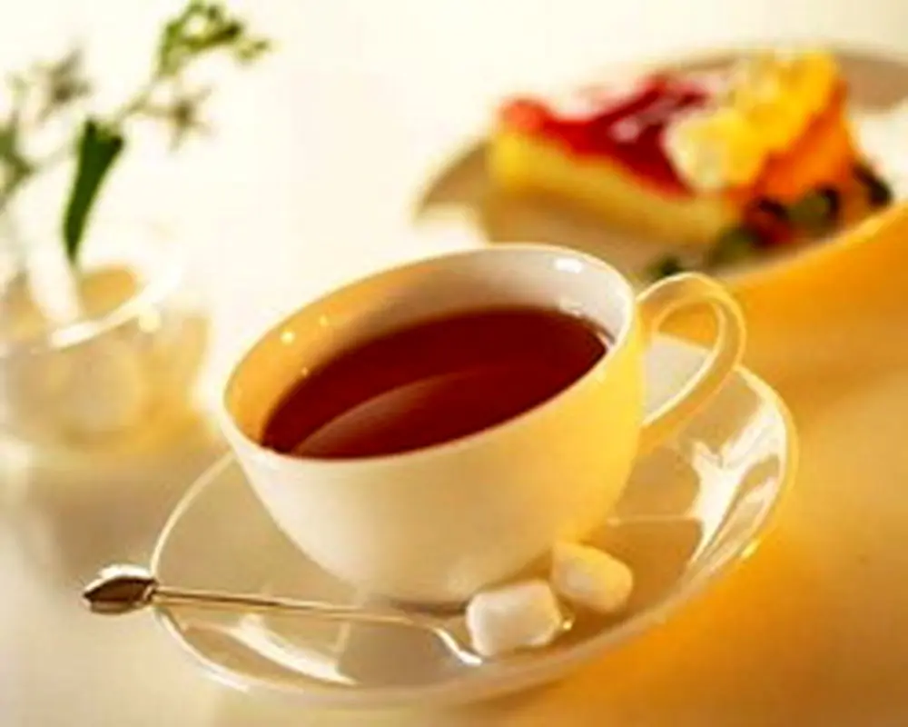 تاثیرمواد غذایی بر ناباروری، باورنکردنی است!