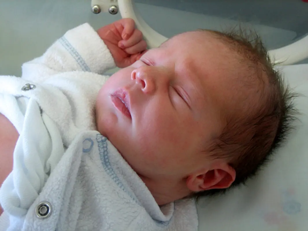 موسسه درمان ناباروری رویان، درباره‌اش چه می‌دانید؟