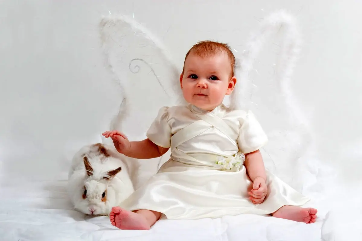 چرا نازایی زیاد شده؟