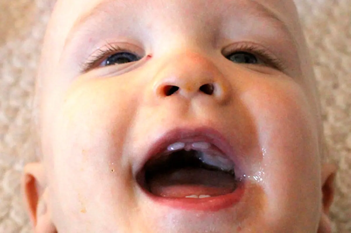 دندان شیری چند تاست؟