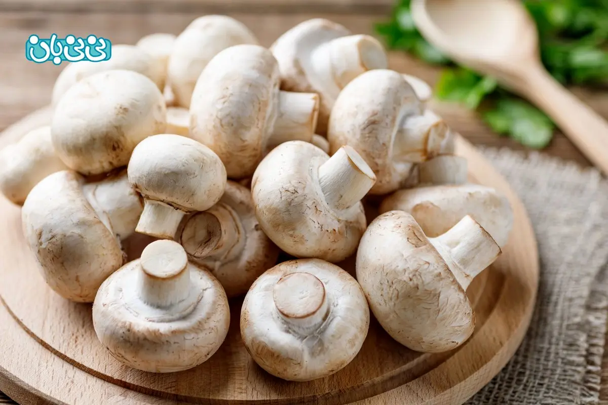 خوردن قارچ در بارداری چه تاثیری دارد؟ ۷ فایده مهم و مضرات آن