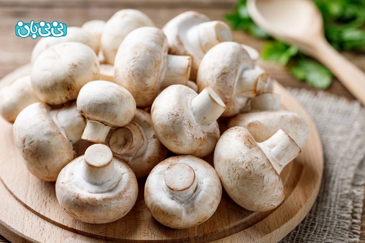 خوردن قارچ در بارداری چه تاثیری دارد؟ ۷ فایده مهم و مضرات آن