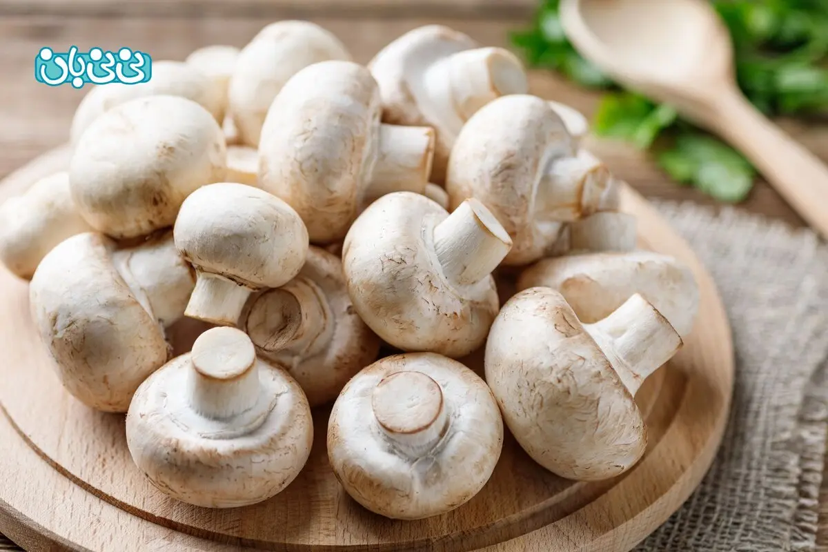 خوردن قارچ در بارداری چه تاثیری دارد؟ ۷ فایده مهم و مضرات آن