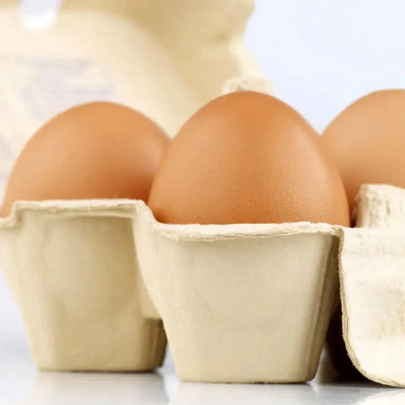 اثرات رژیم پروتئین در بارداری