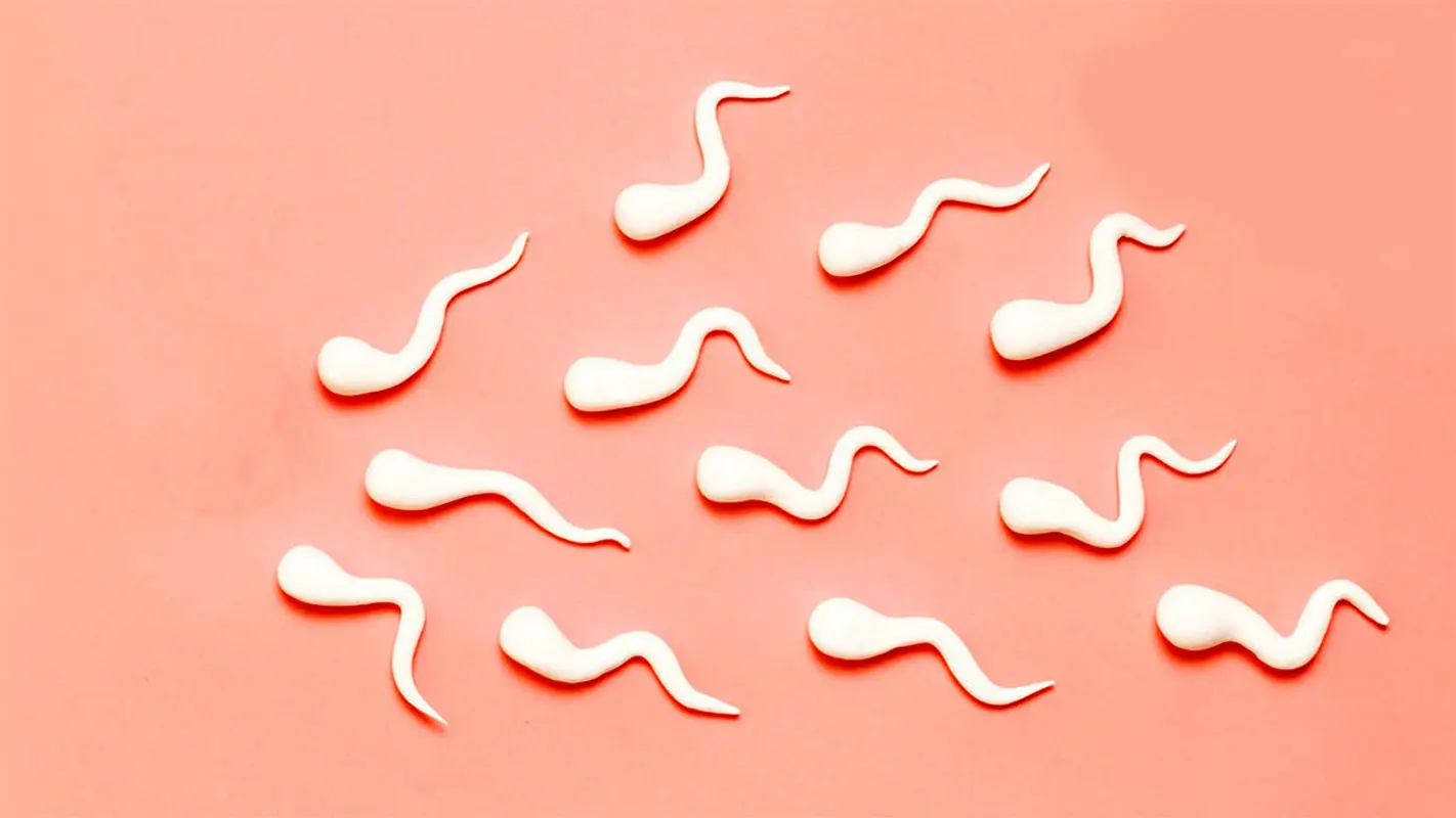 تقویت اسپرم در مردان، راهی برای درمان ناباروری