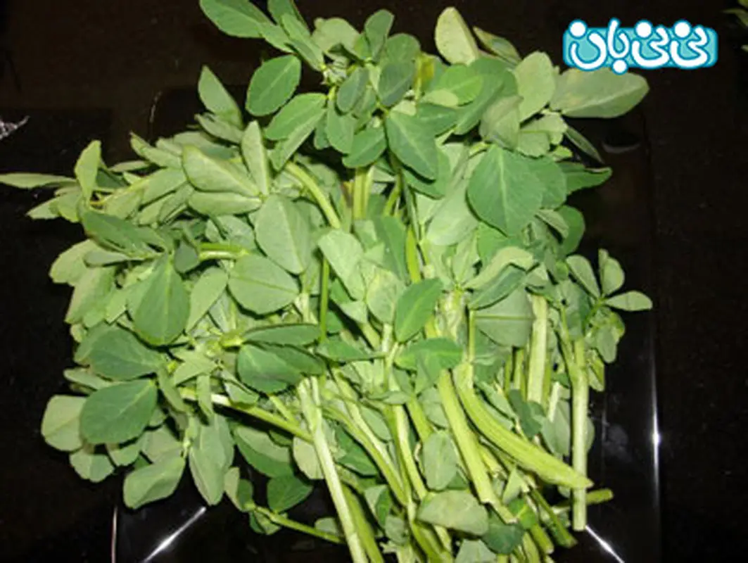 میل به رابطه زناشویی، افزایش با گیاه شنبلیله