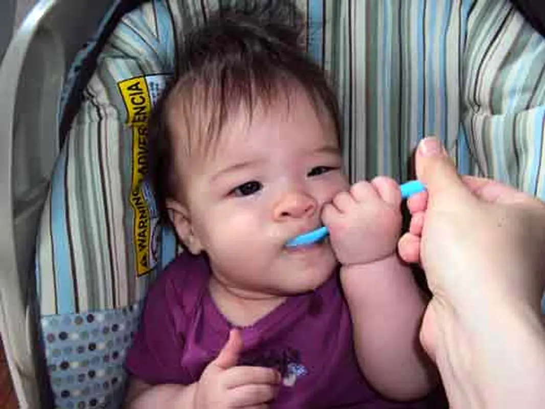 تغذیه سالم کودک، مشخصات شیر مناسب