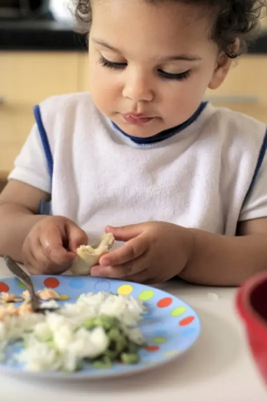 تغذیه کودکان کم اشتها، توصیه های عمومی