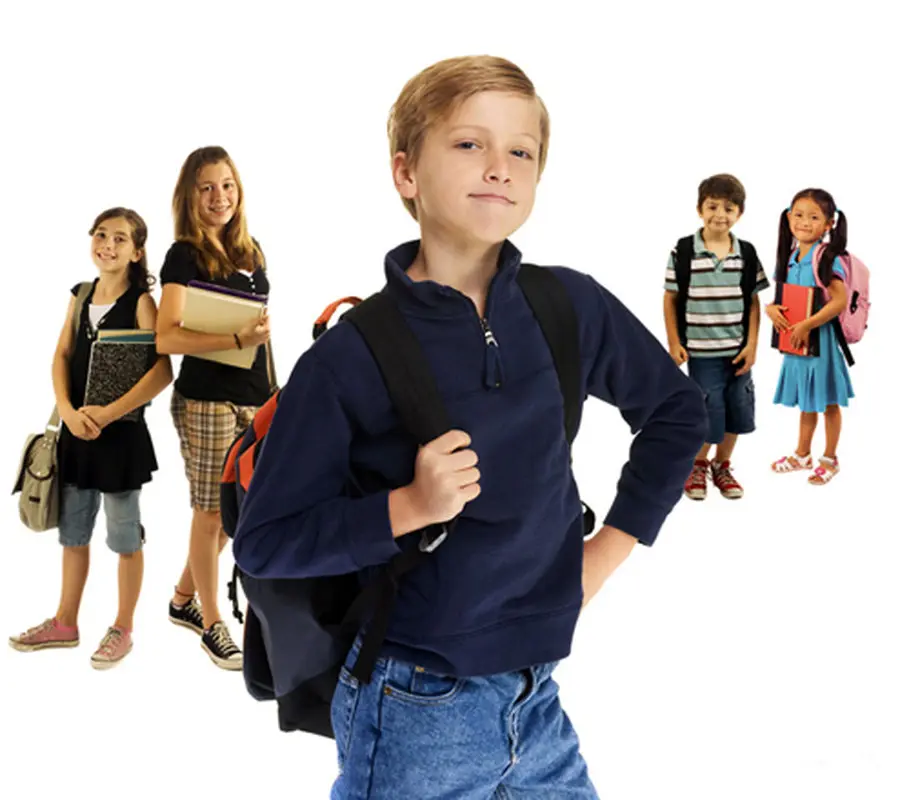 پرخاشگری کودکان در مدرسه، علل شایع