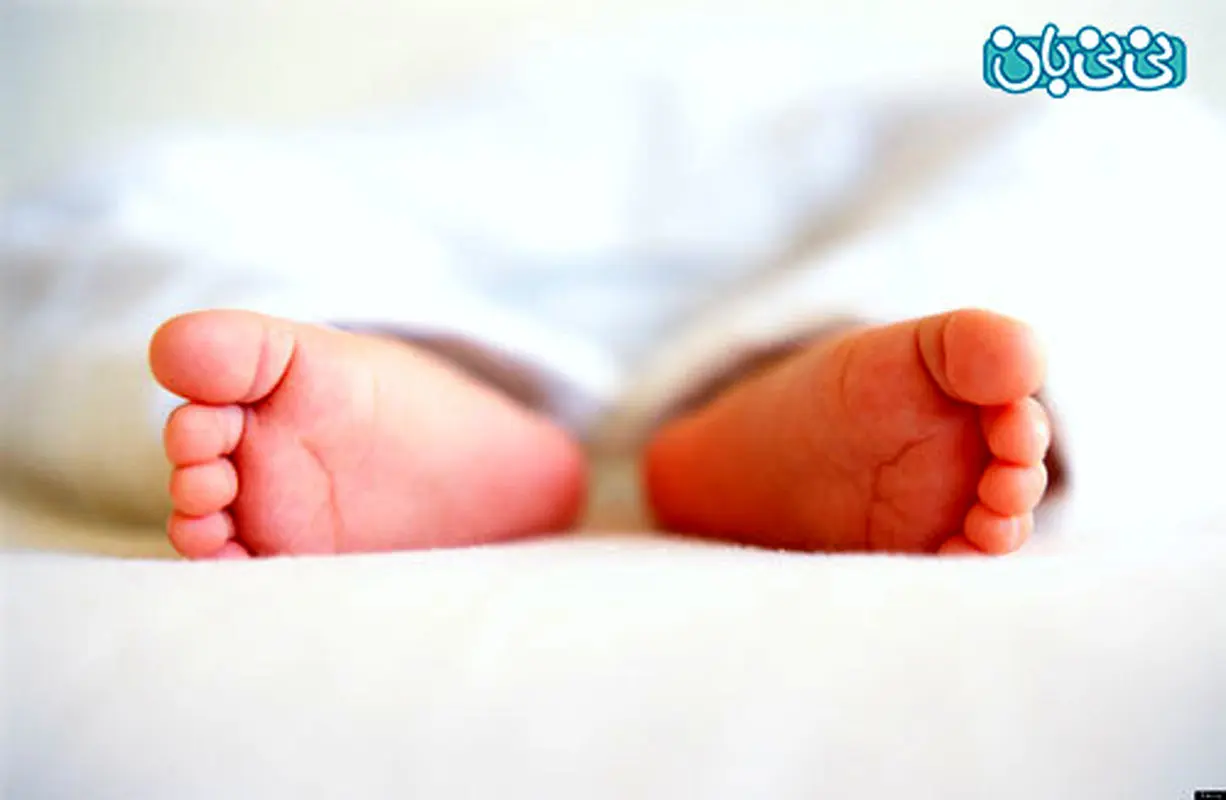 حقایقی درباره بارداری، دانستنی‌های جالب