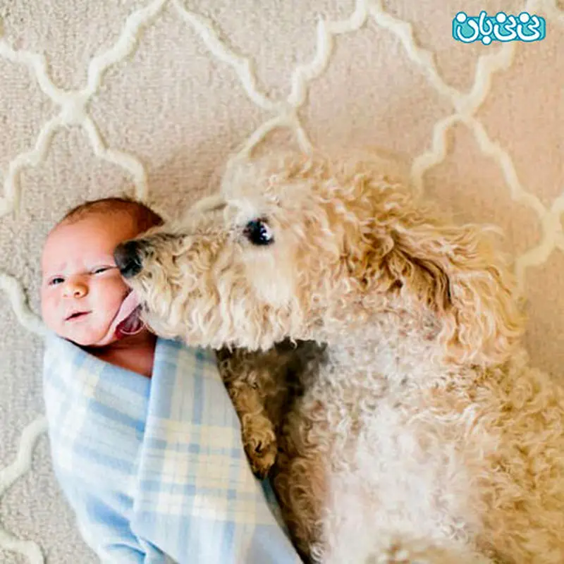 رابطه کودکان با حیوانات، ببینید و لذت ببرید