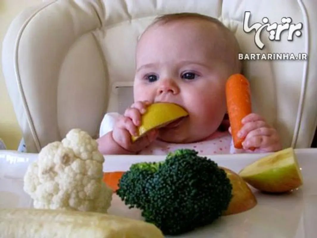 تغذیه کودکان یک تا سه سال، آنچه باید بدانید