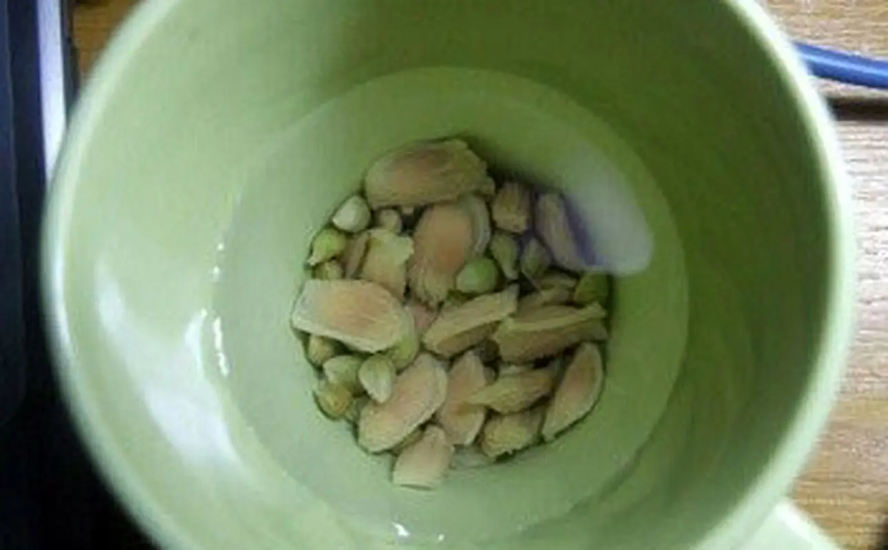 کاشتن هسته لیمو، خانمها میخواهید بدانید؟