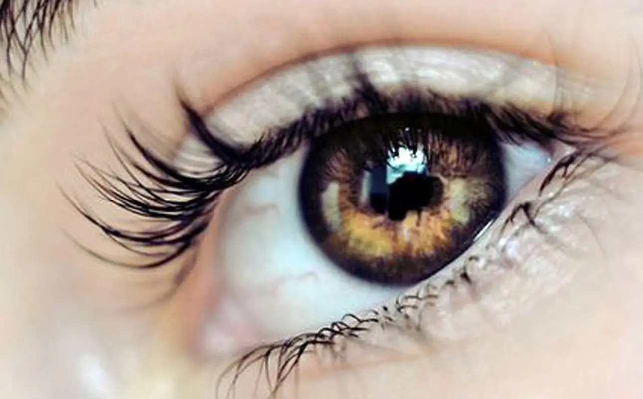 چشمان زیبای زنان، این خوراکی ها مفیدند