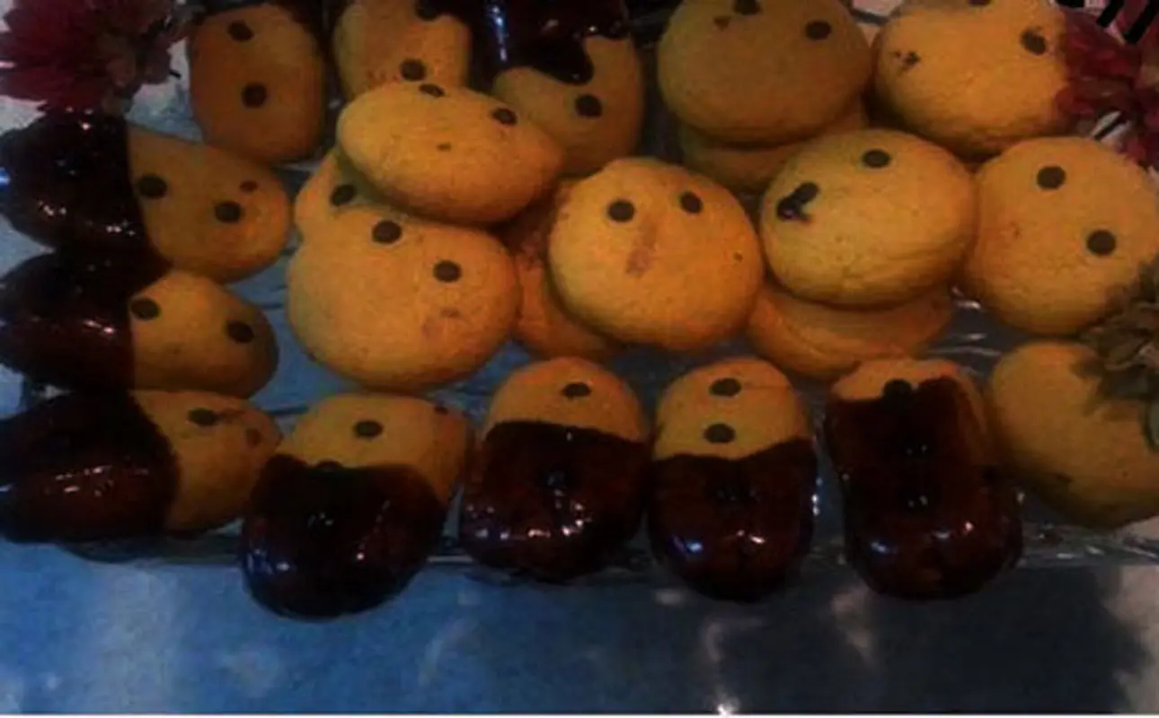 طرز تهیه بیسکوئیت، مخصوص بچه ها