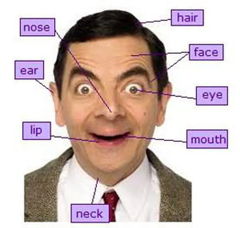 آموزش تصویری زبان انگلیسی به کودک