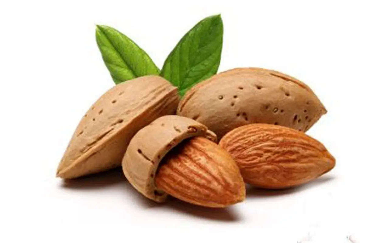 فواید بادام برای پوست، خانم‌ها غافل نشوید!