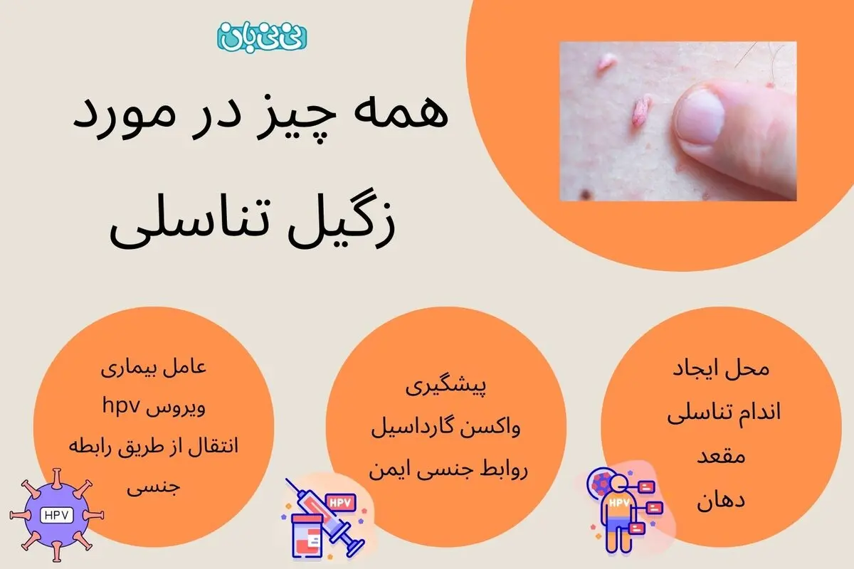 زگیل تناسلی چیست؟ انواع و علائم + جدیدترین روش های درمان