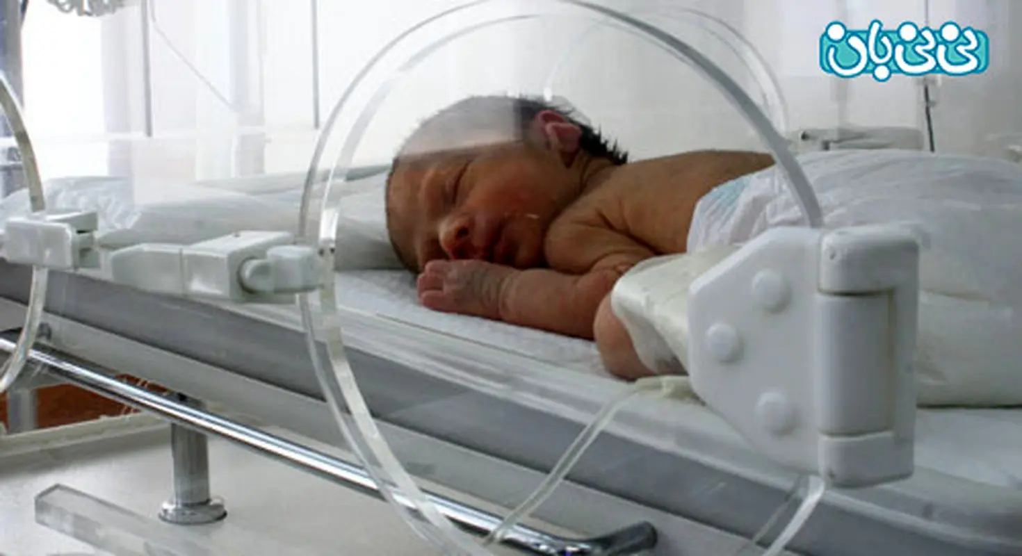 عوارض الکل بر جنین، تحقیقات دانشمندان استرالیایی