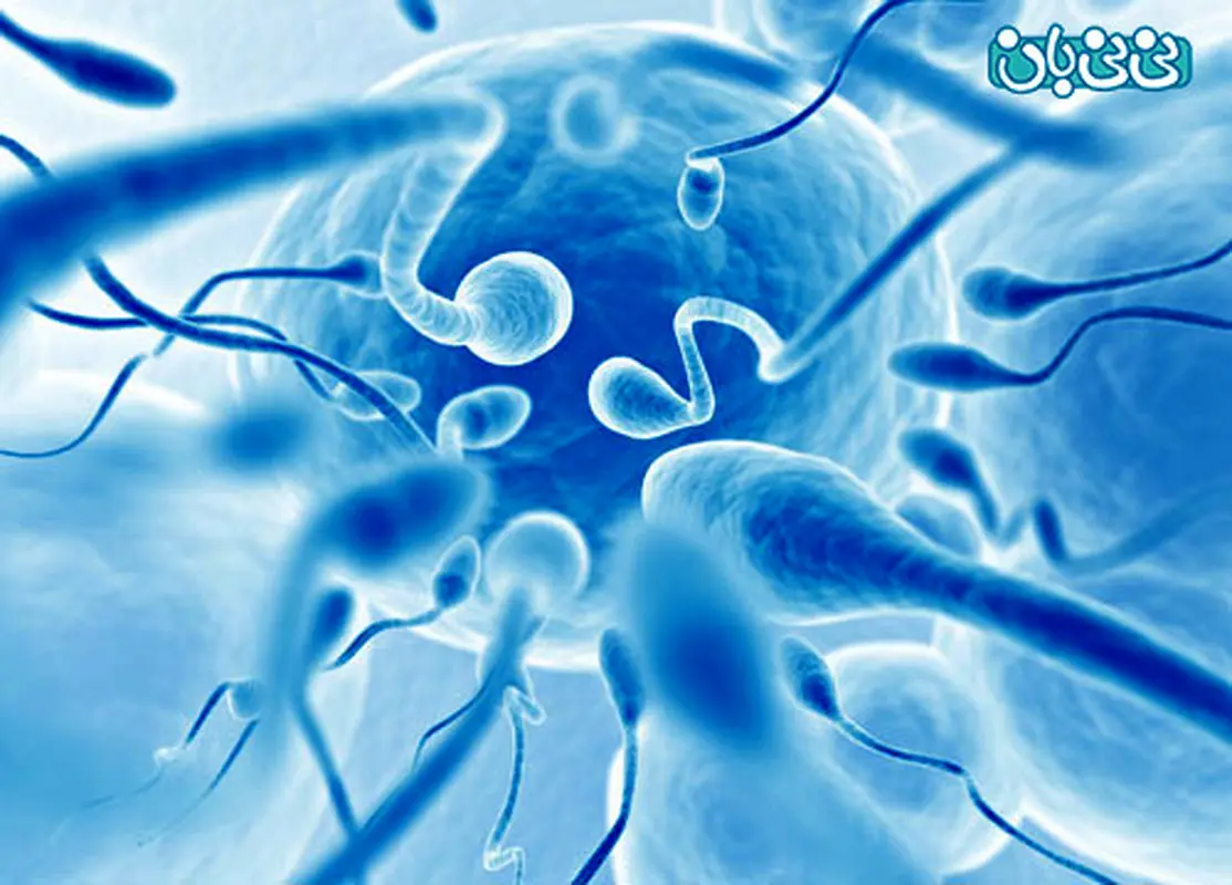 باردار نمی‎شوید؟ این کارها را انجام دهید