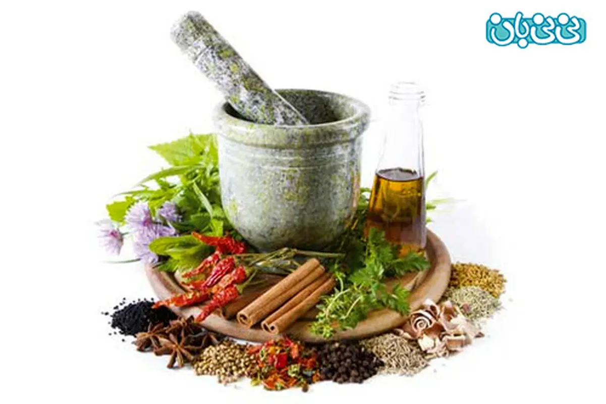 افزایش شیر مادران، گیاهان دارویی موثر