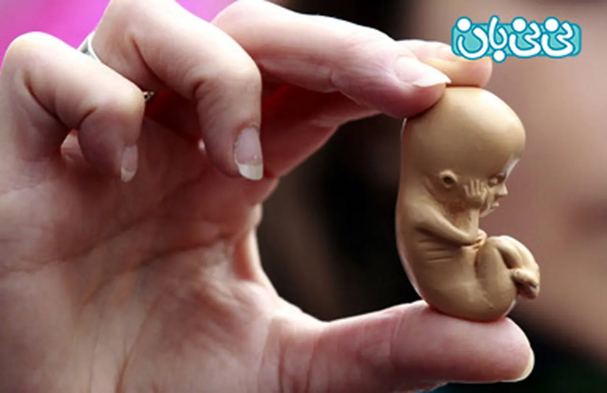 سقط جنین و بارداری مجدد (7)