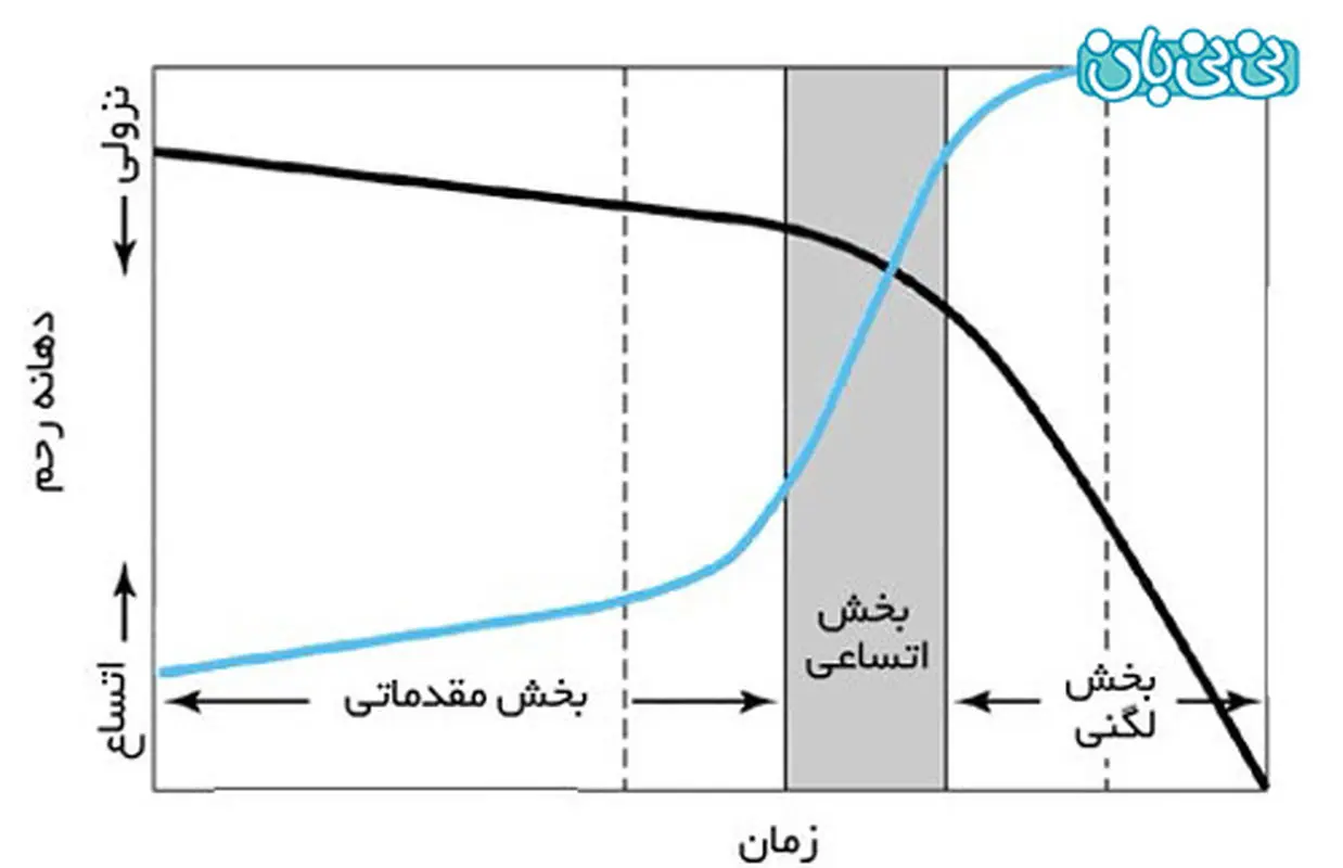 منحنی پیشرفت زایمان