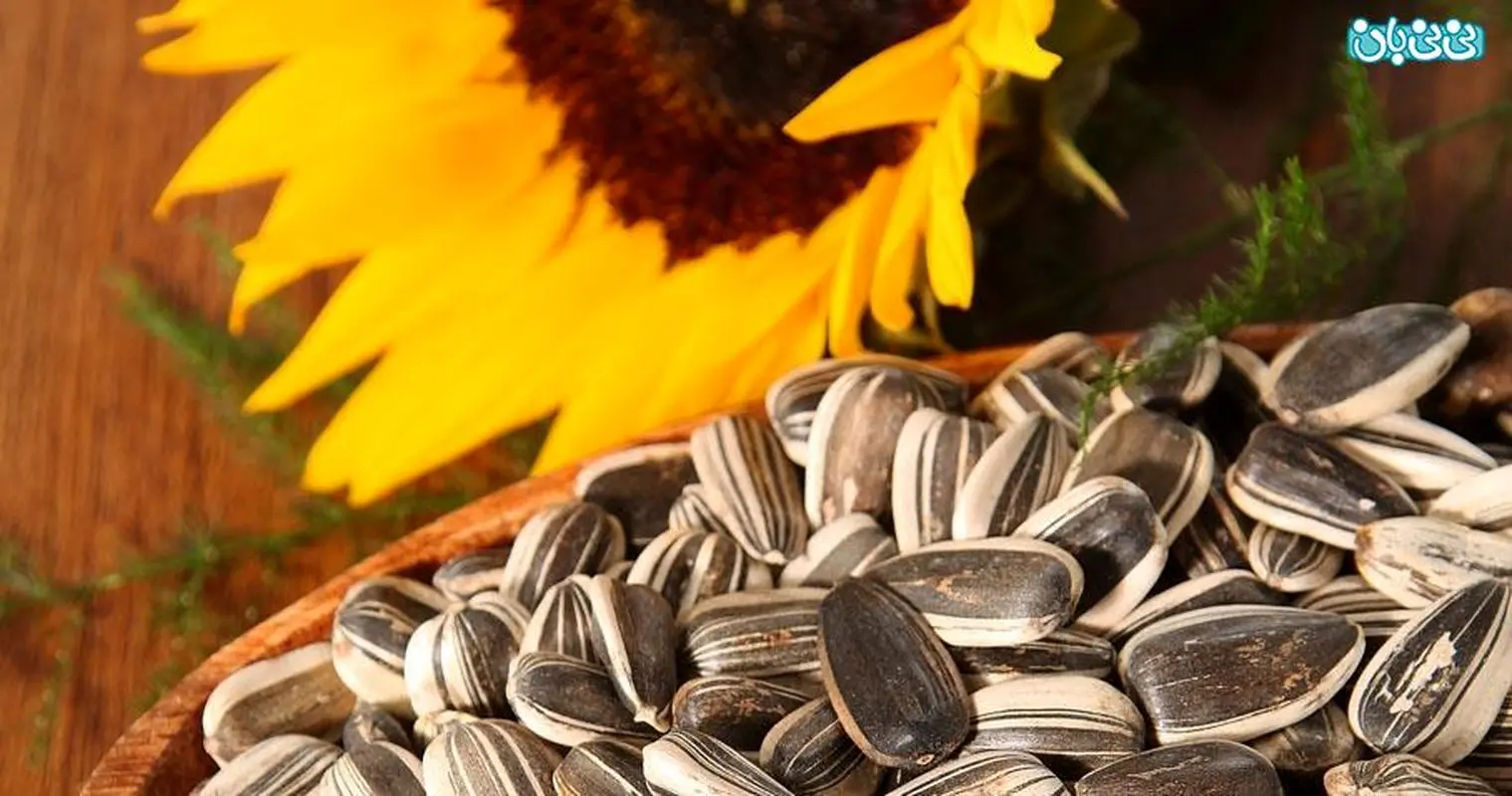 تعیین روز تخمک گذاری برای سیکل های نامنظم