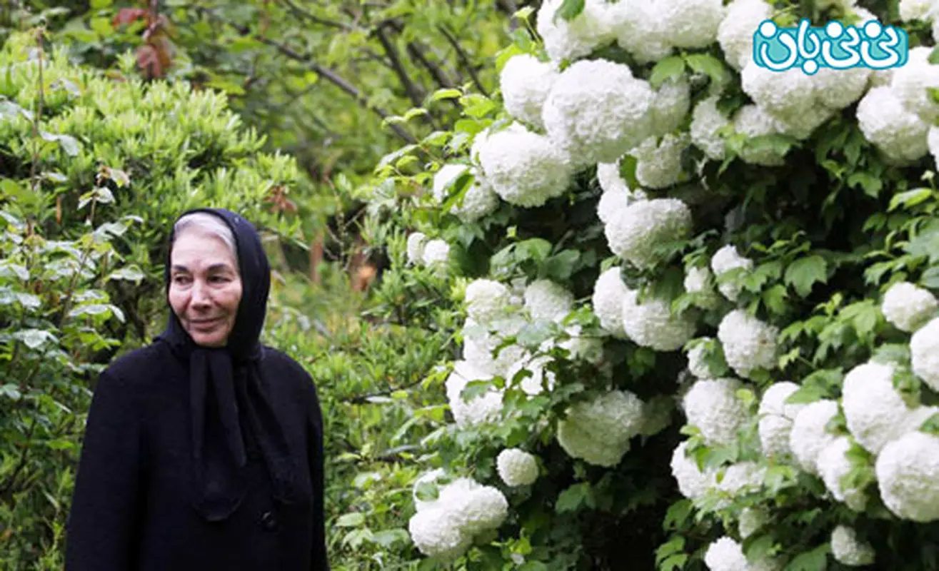 پروانه معصومی هنرپیشه، عادت بد والدین از نگاه او