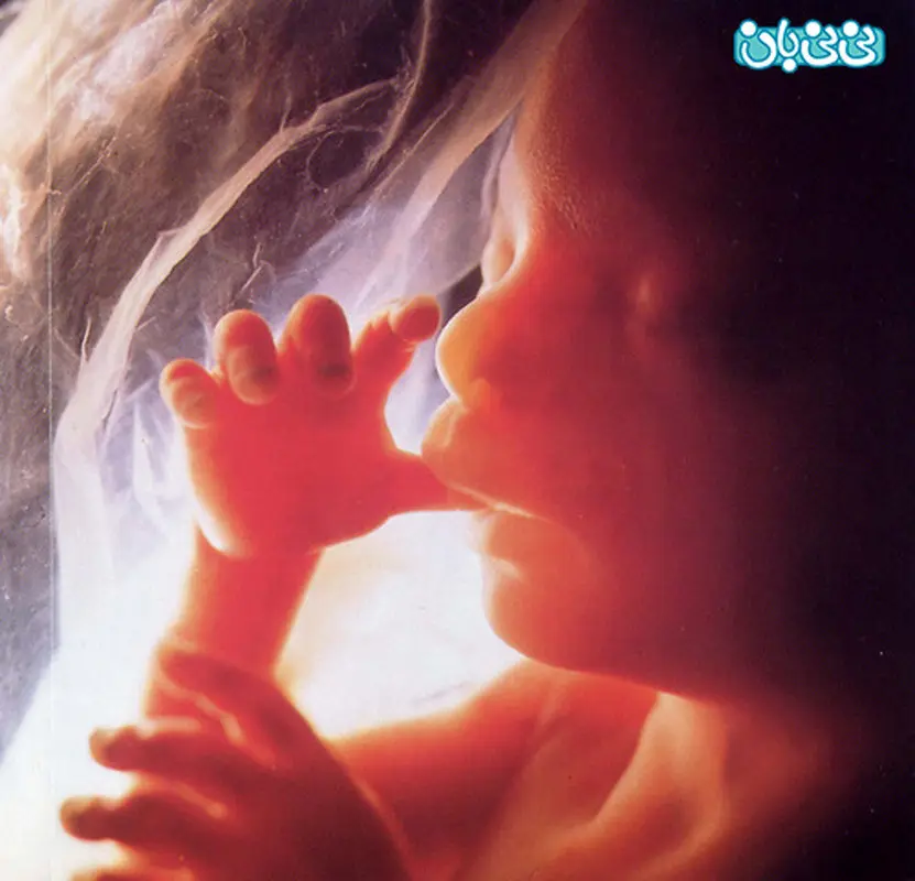 وضعیت جنین در زمان زایمان