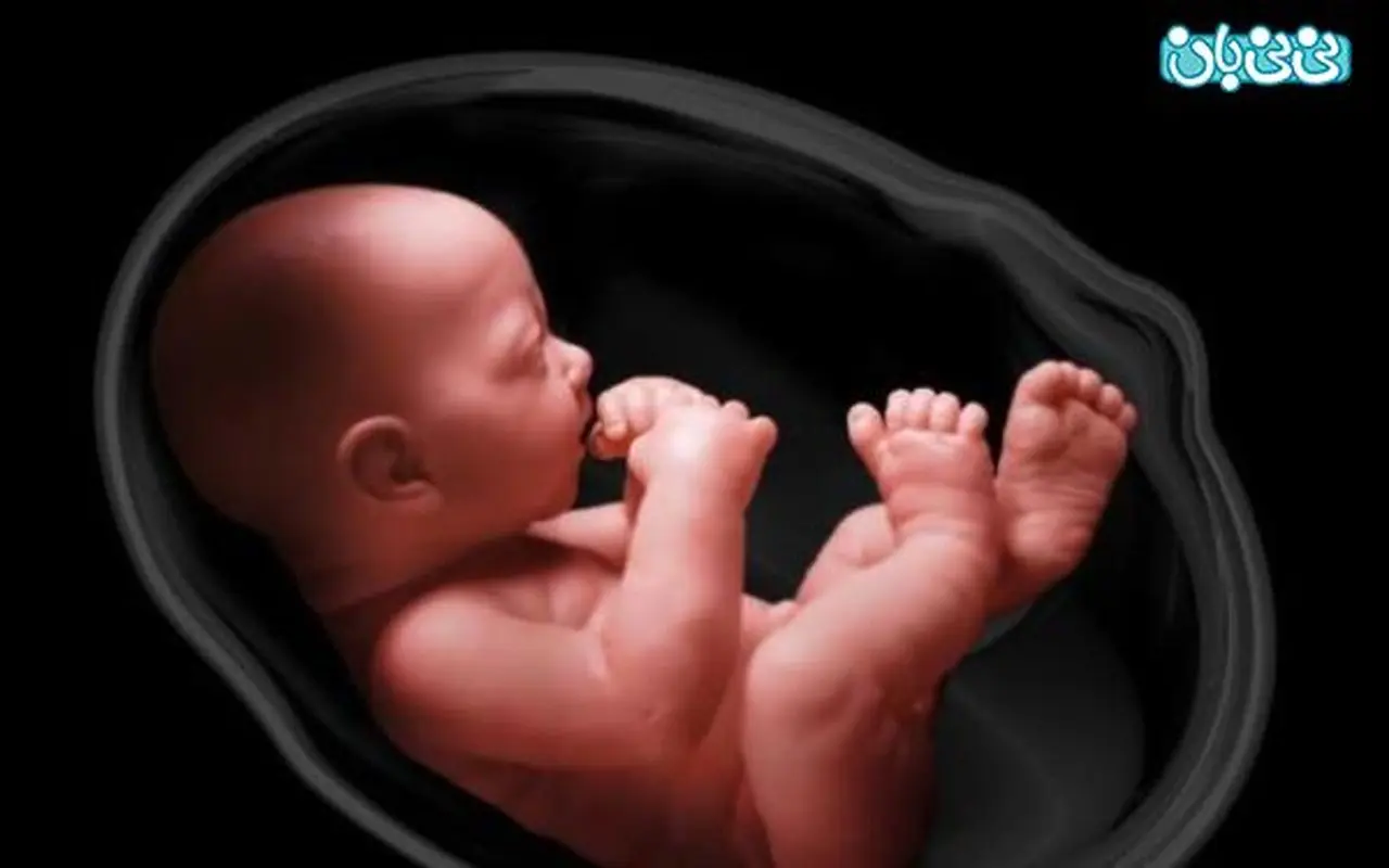 8 سوال مهم مادران درباره حرکات جنین (6)