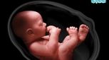 8 سوال مهم مادران درباره حرکات جنین (6)