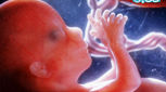 حرکات جنین در دوران بارداری