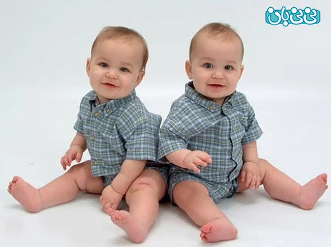 همه چیز درباره بارداری چند قلویی (4)