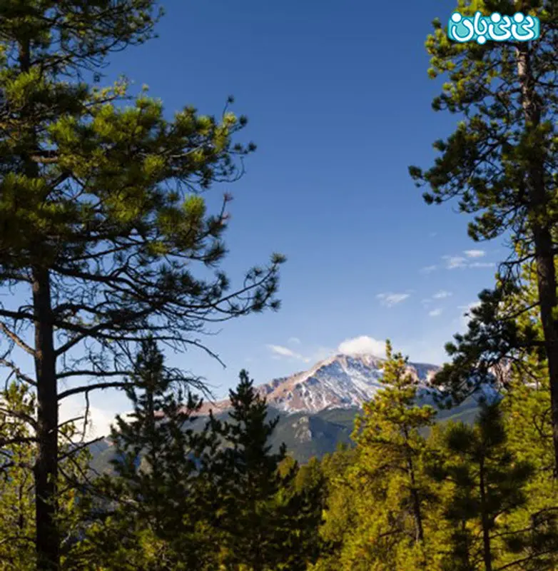 عکاسی از کودکان در طبیعت، نه اشتباه معمول