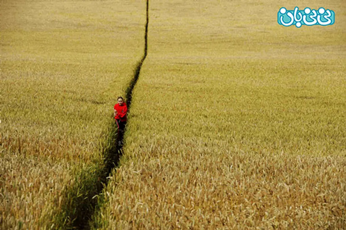 بهترین فصل برای باردار شدن