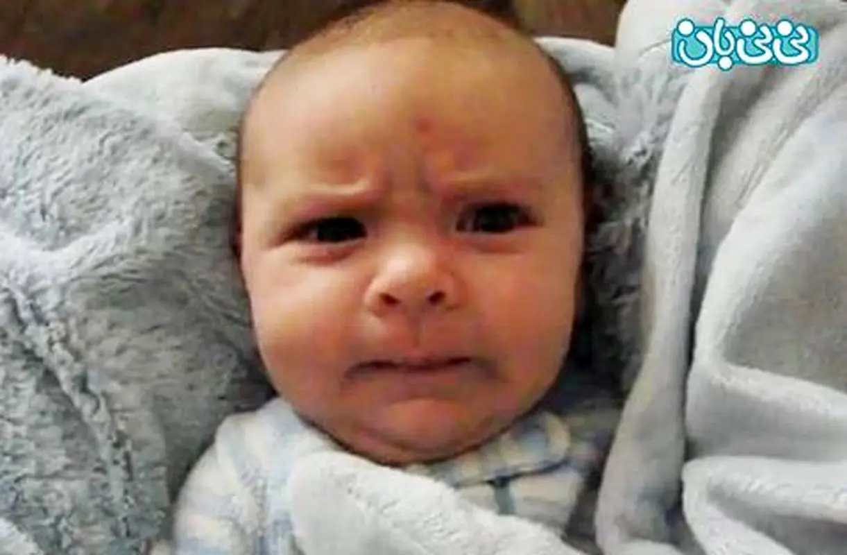 نوزادان شب زنده دار