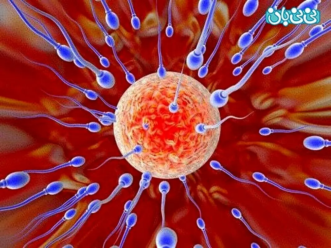 علت اصلی ناباروری چیست؟