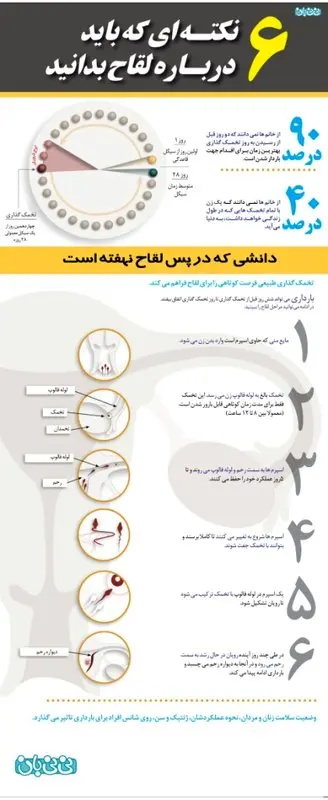 تصویری: 6 نکته درباره لقاح (11)