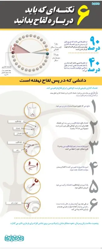 تصویری: 6 نکته درباره لقاح (11)