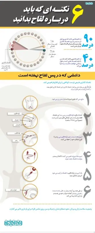 تصویری: 6 نکته درباره لقاح (11)