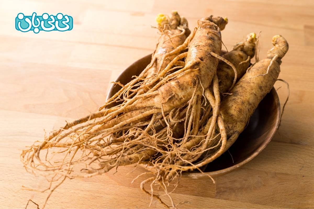 خواص جینسینگ برای رابطه زناشویی و نحوه مصرف + خواص آن برای زنان و مردان