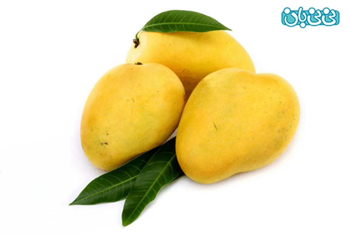 بهترین غذای زن‌باردار و چگونگی مصرف آن