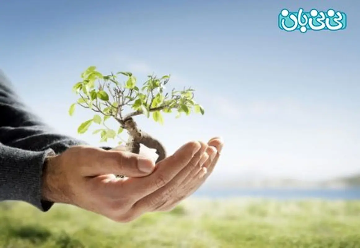 سؤالات مهم والدین درباره بیمه عمر و سرمایه گذاری (4)