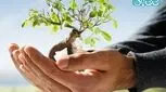 اطلاعات جامع درباره بیمه های عمر و سرمایه گذاری