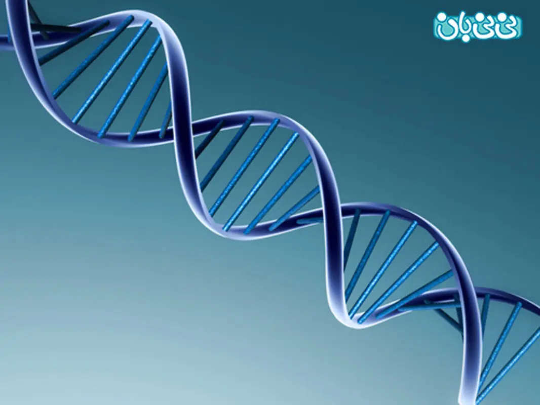 در رحم مادر چه اتفاقی می افتد؟