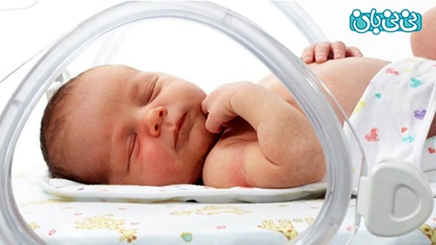 تولد نوزاد نارس، باید لای پر قو باشند